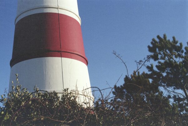 A film photograph of the base of a lighthouse surrounded by foliage and blue sky