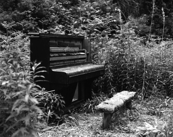 Piano-in-Wood-Promo-Image-Ben-selection