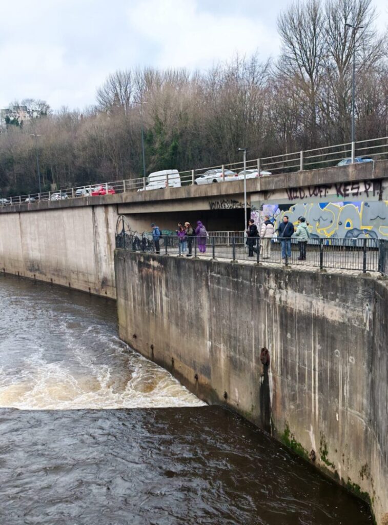 WhatsApp-Image-2026-02-04-at-13.31.45-2